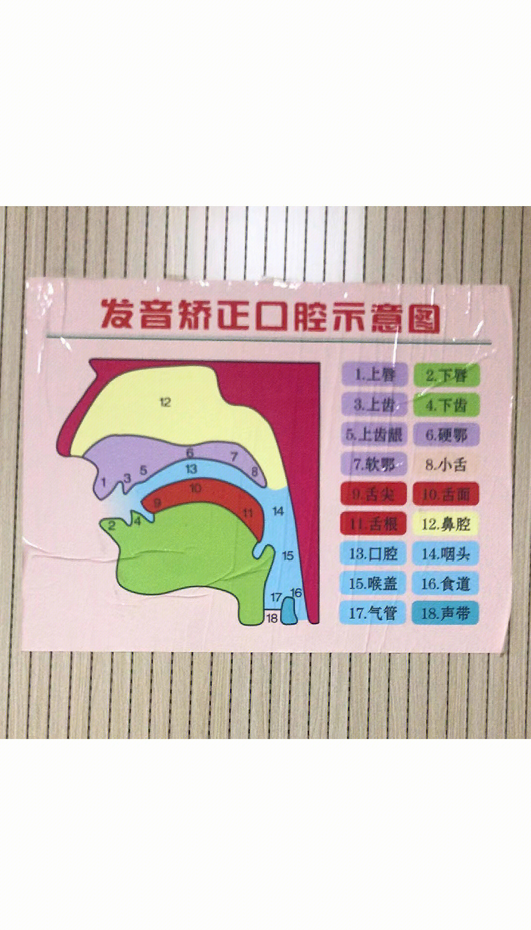 声乐教程下载_(声乐教学视频全集)