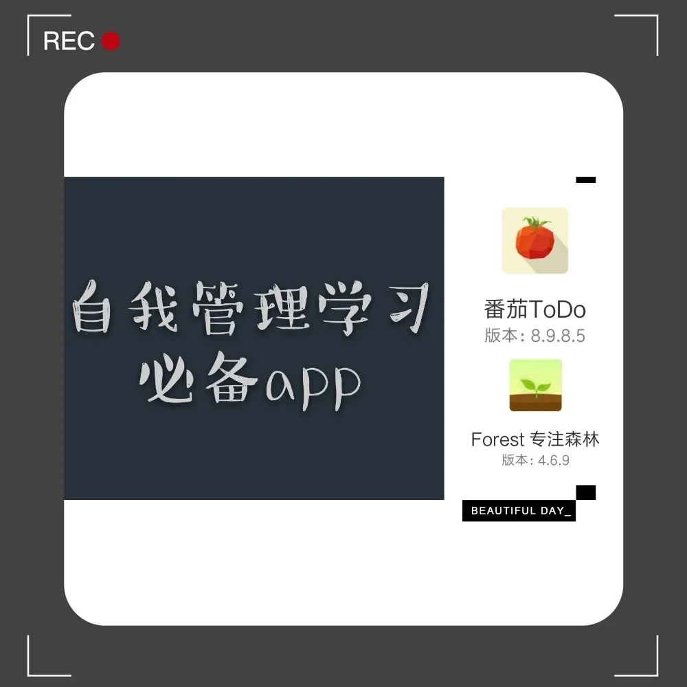 番茄森林app下载(番茄community)